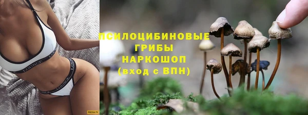 гашик Алексин