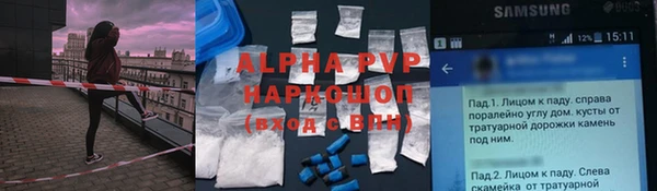 гашик Алексин