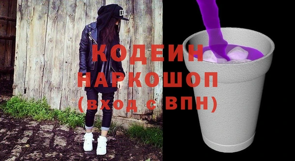 гашик Алексин