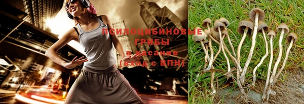 гашик Алексин
