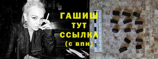 гашик Алексин