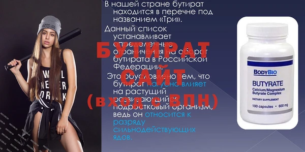 гашик Алексин